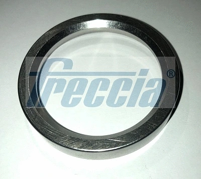 Valve Seat (WG1920794)