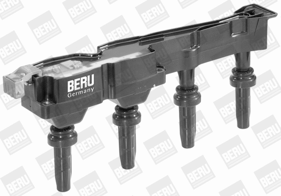 Ignition Coil (WG1487553)