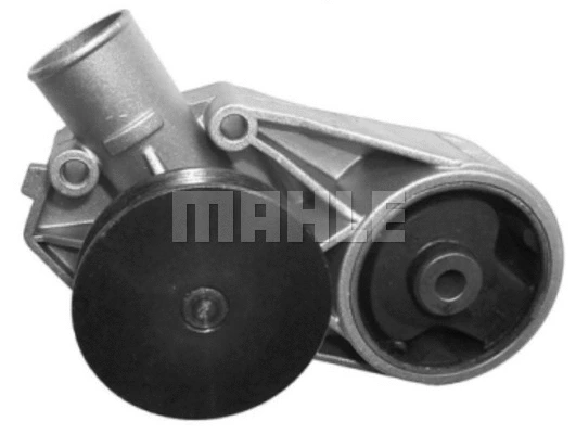 Water Pump, engine cooling (WG2181653)