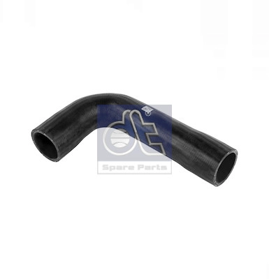 Radiator Hose (WG2306639)