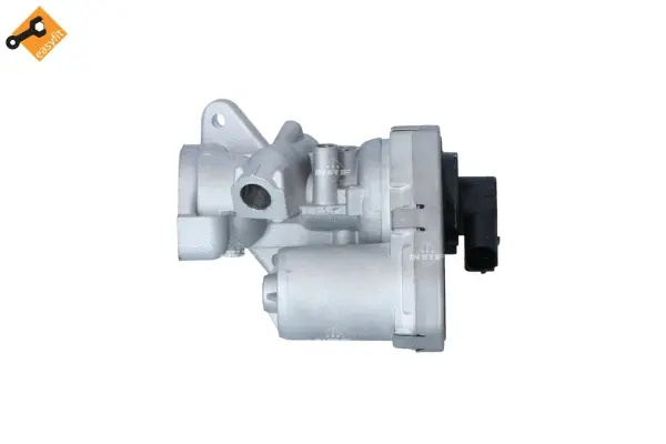 EGR Valve (WG2161799)