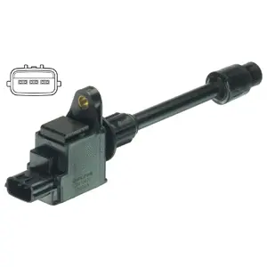 Ignition Coil (WG1938066)