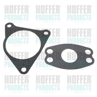 Gasket, EGR valve (WG2262117)
