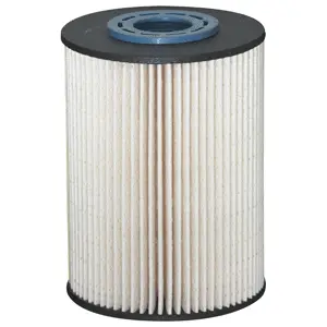 Fuel Filter (WG1499121)