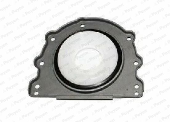 Shaft Seal, crankshaft (WG1183206)