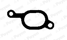Gasket, exhaust manifold (WG1091035)