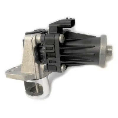 EGR Valve (WG1408759)