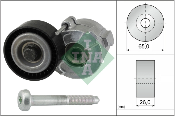 Belt Tensioner, V-ribbed belt (WG1809873)