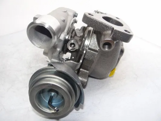 Charger, charging (supercharged/turbocharged) (WG2139372)