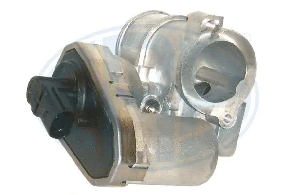 EGR Valve (WG1494700)