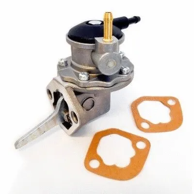 Fuel Pump (WG1012707)