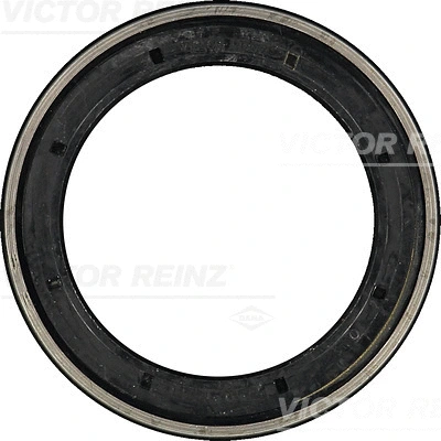 Shaft Seal, crankshaft (WG1250311)