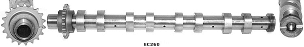 Camshaft (WG1051372)