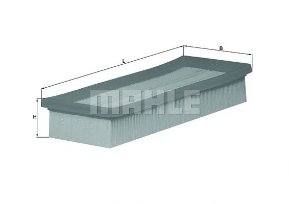 Air Filter (WG1215969)