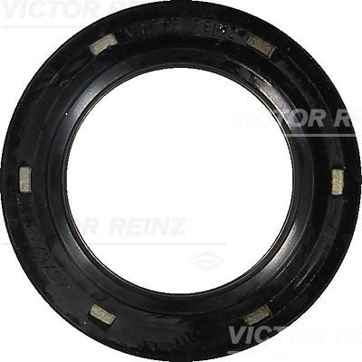 Shaft Seal, crankshaft (WG1250124)