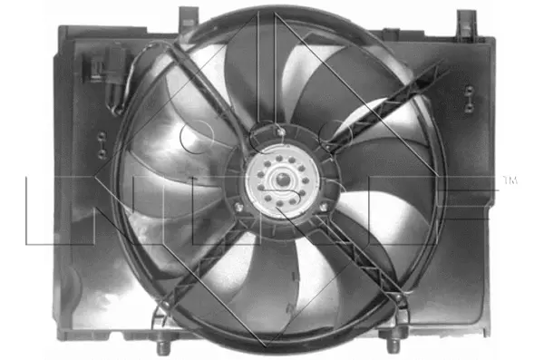 Fan, engine cooling (WG1720429)