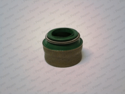 Seal Ring, valve stem (WG1754087)