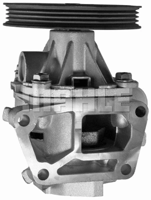 Water Pump, engine cooling (WG2181762)
