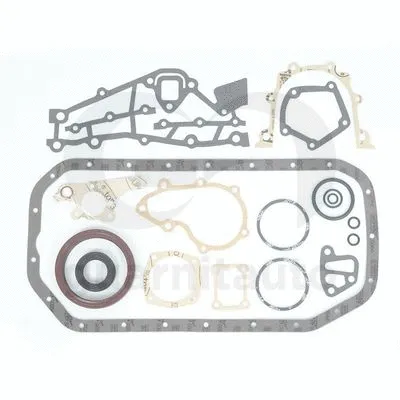 Gasket Kit, crankcase (WG2133194)