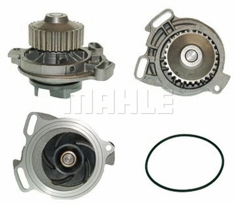 Water Pump, engine cooling (WG2181298)