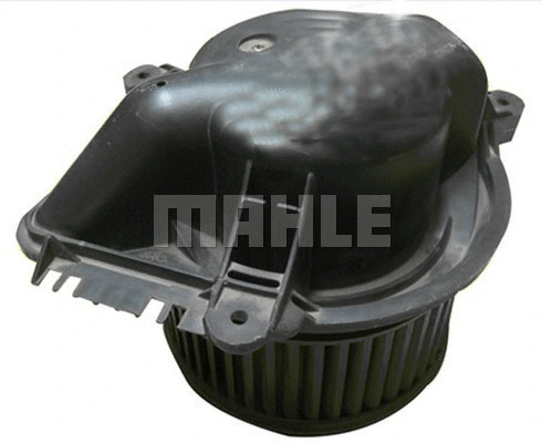 Interior Blower (WG2179805)