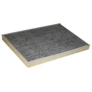 Filter, cabin air (WG1774669)