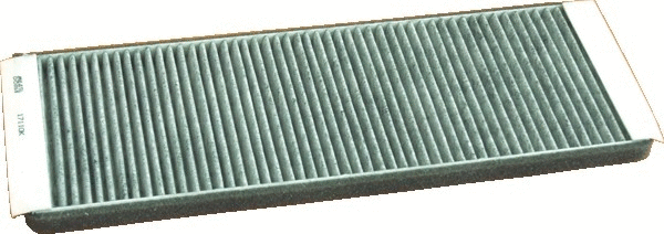 Filter, cabin air (WG1746991)