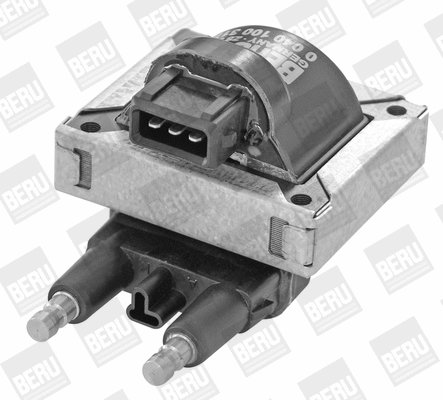 Ignition Coil (WG1487384)