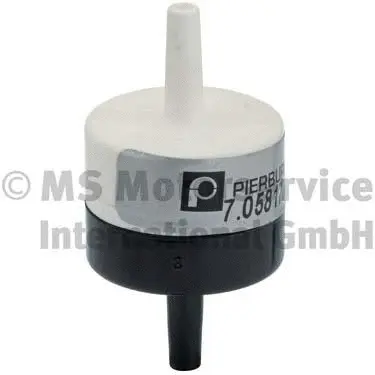 Boost Pressure Control Valve (WG1026481)