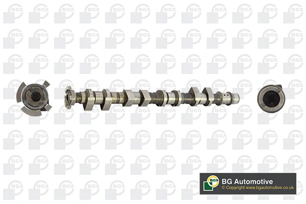 Camshaft (WG1490629)
