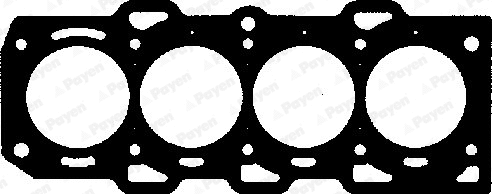 Gasket, cylinder head (WG1090245)