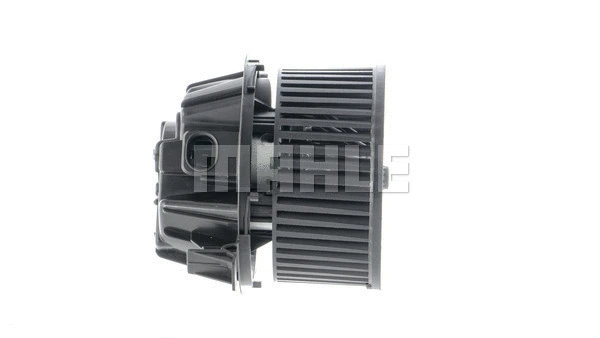 Interior Blower