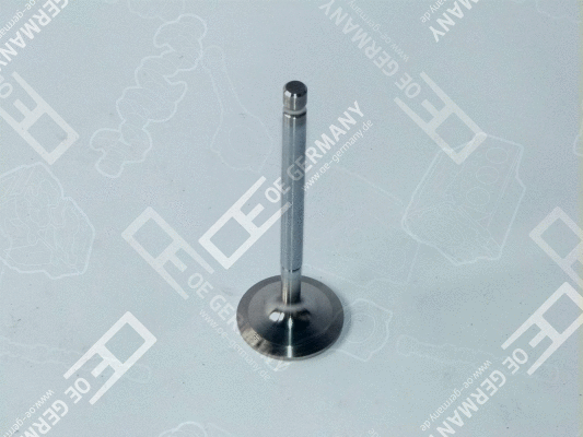 Intake Valve (WG1485691)