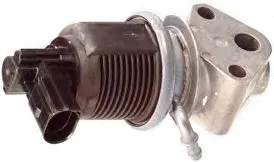 EGR Valve (WG1408670)
