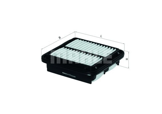 Air Filter (WG1216215)
