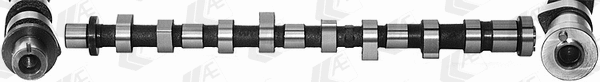 Camshaft (WG2202339)