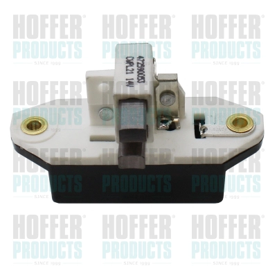 Alternator Regulator (WG2262565)