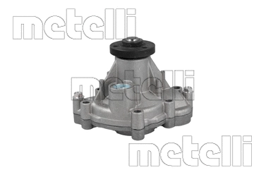 Water Pump, engine cooling (WG2047285)