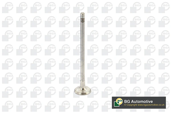 Exhaust Valve (WG1814483)