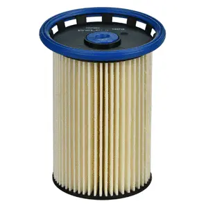 Fuel Filter (WG1772323)