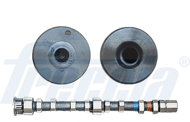 Camshaft (WG1909820)
