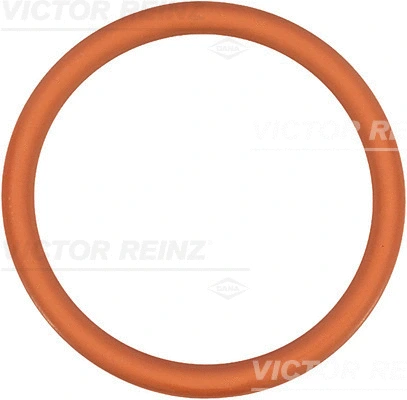 Gasket, intake manifold (WG1247565)