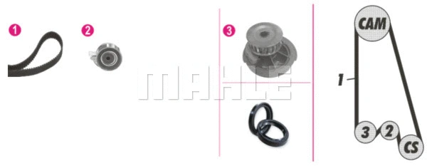 Water Pump & Timing Belt Kit (WG2182168)