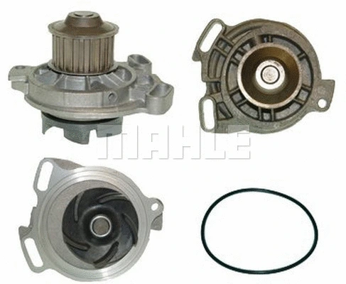 Water Pump, engine cooling (WG2181960)