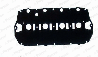 Gasket, cylinder head cover (WG1090790)