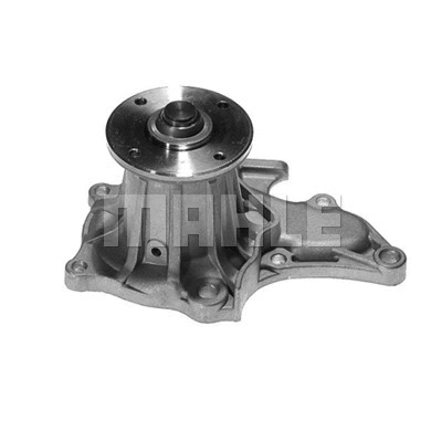 Water Pump, engine cooling (WG2181741)