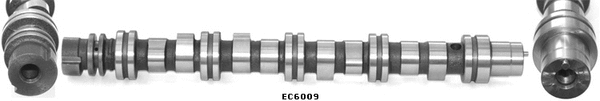 Camshaft (WG1317666)