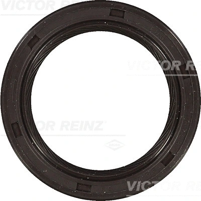 Shaft Seal, camshaft (WG1250480)