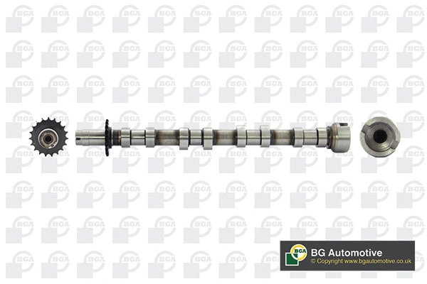 Camshaft (WG1814308)