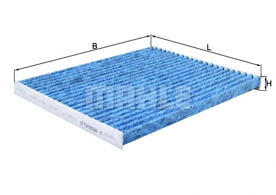 Filter, cabin air (WG1916617)